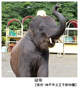 王子動物園 思い出のアルバム 348