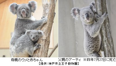 王子動物園 思い出のアルバム 359