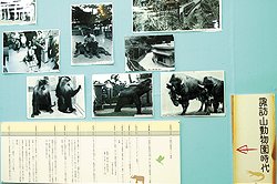 王子動物園 74th Anniv.