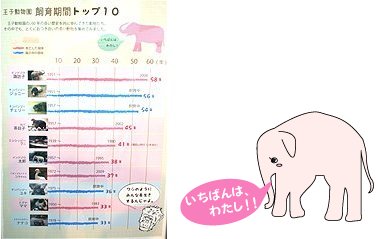 王子動物園/思い出のアルバム/245