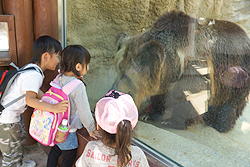 �`�x�b�g�q�O�}