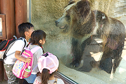 �`�x�b�g�q�O�}