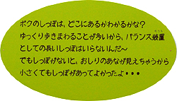 しっぽ自慢1