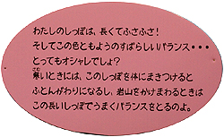 しっぽ自慢2