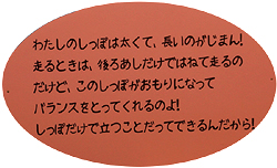 しっぽ自慢3