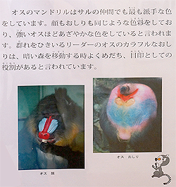 雑学コーナー1