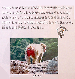 雑学コーナー2