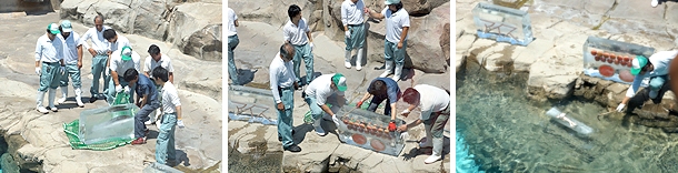ホッキョクグマに氷のプレゼント1