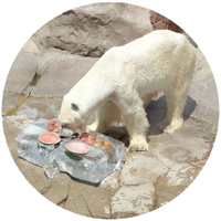 �z�b�L���N�O�}�ɕX�̃v���[���g3