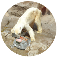 �z�b�L���N�O�}�ɕX�̃v���[���g4